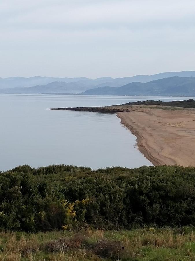 Tzanetos Seaside Villa Kyparissía Eksteriør bilde